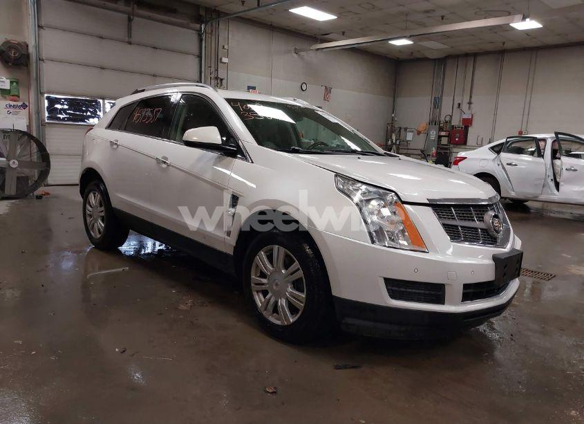2010 Cadillac Srx LUXURY COLLECTION (VIN 3GYFNAEY5AS636059) main photo