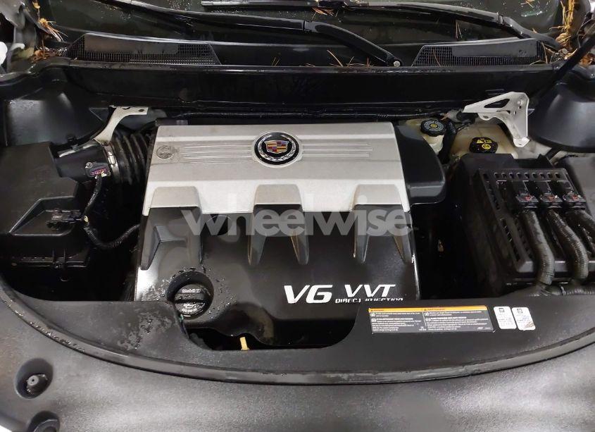 Photo 10 of 2010 Cadillac Srx LUXURY COLLECTION (VIN 3GYFNAEY5AS636059)