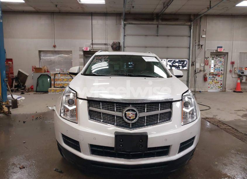Photo 12 of 2010 Cadillac Srx LUXURY COLLECTION (VIN 3GYFNAEY5AS636059)