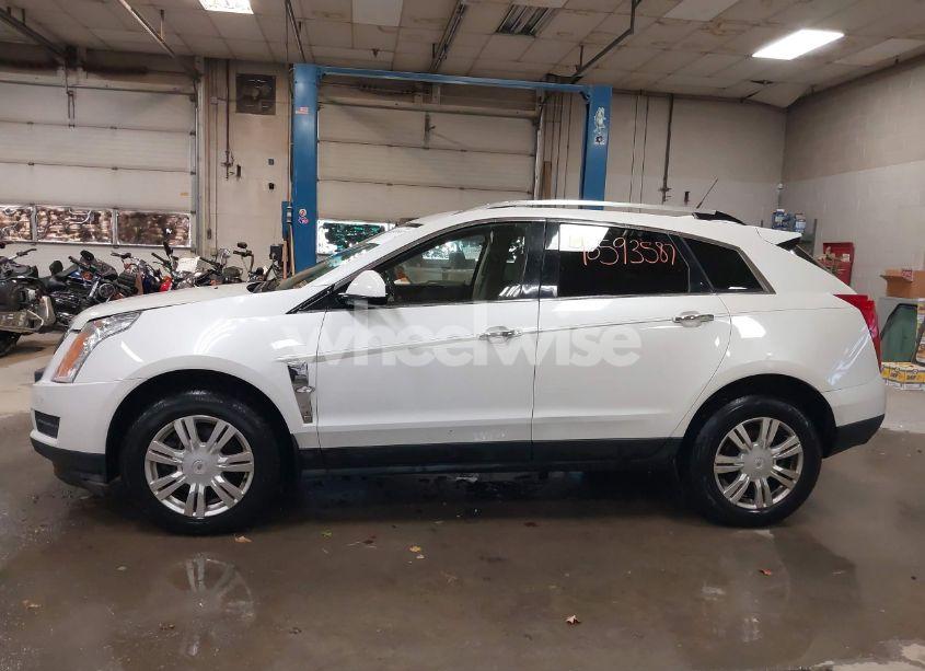 Photo 14 of 2010 Cadillac Srx LUXURY COLLECTION (VIN 3GYFNAEY5AS636059)