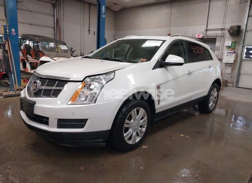 Photo 2 of 2010 Cadillac Srx LUXURY COLLECTION (VIN 3GYFNAEY5AS636059)
