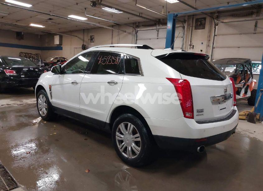 Photo 3 of 2010 Cadillac Srx LUXURY COLLECTION (VIN 3GYFNAEY5AS636059)