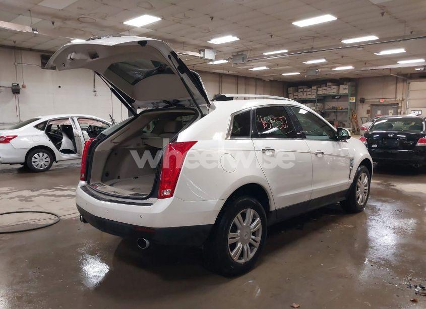 Photo 4 of 2010 Cadillac Srx LUXURY COLLECTION (VIN 3GYFNAEY5AS636059)