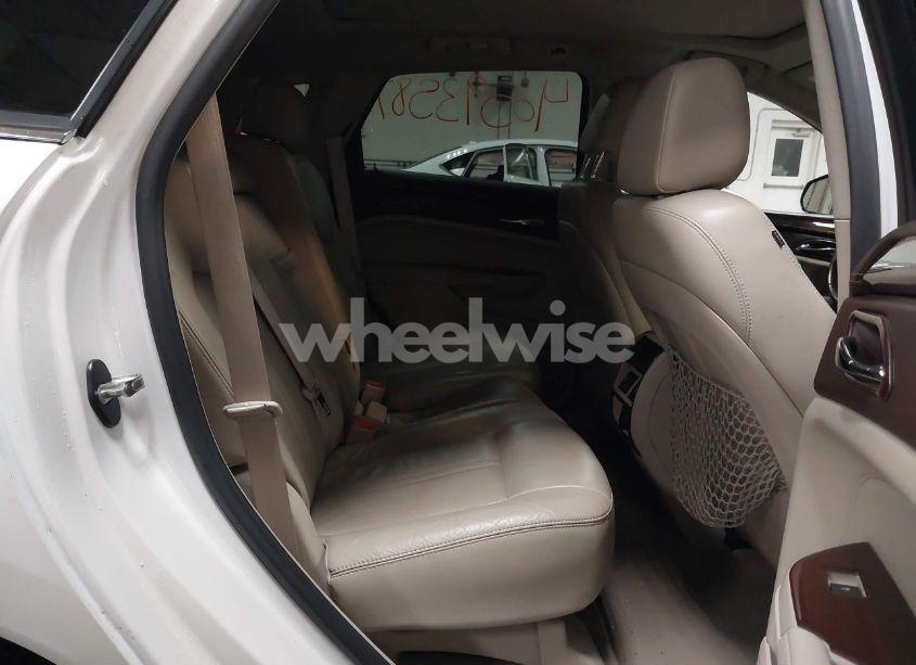 Photo 8 of 2010 Cadillac Srx LUXURY COLLECTION (VIN 3GYFNAEY5AS636059)