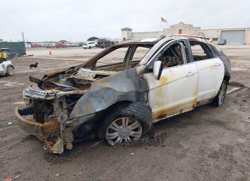 Photo 2 of 2010 Cadillac Srx LUXURY COLLECTION (VIN 3GYFNAEY5AS637809)