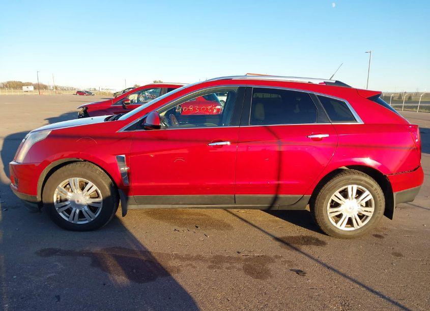 Photo 14 of 2010 Cadillac Srx LUXURY COLLECTION (VIN 3GYFNAEY5AS648132)