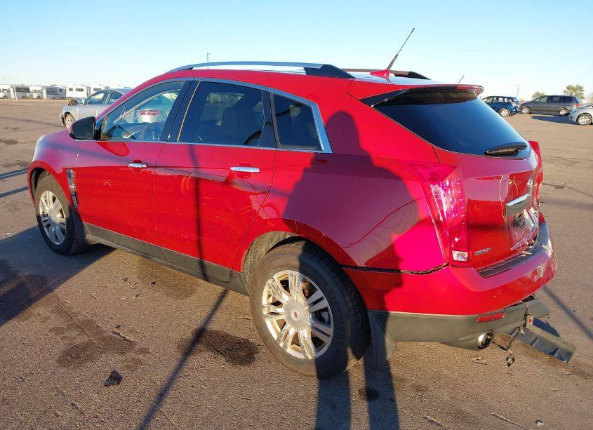 Photo 3 of 2010 Cadillac Srx LUXURY COLLECTION (VIN 3GYFNAEY5AS648132)