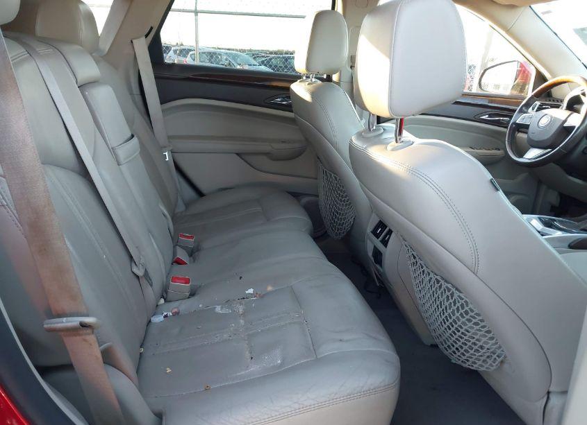 Photo 8 of 2010 Cadillac Srx LUXURY COLLECTION (VIN 3GYFNAEY5AS648132)