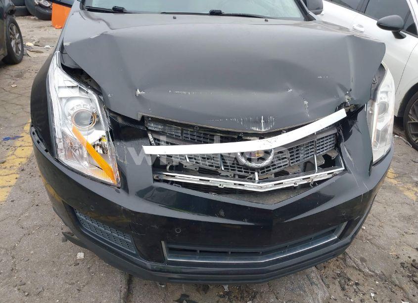 Photo 6 of 2011 Cadillac Srx LUXURY COLLECTION (VIN 3GYFNAEY5BS528252)