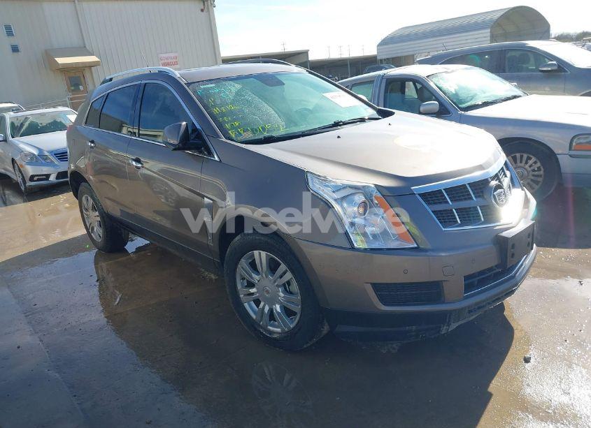 2011 Cadillac Srx LUXURY COLLECTION (VIN 3GYFNAEY5BS556052) main photo