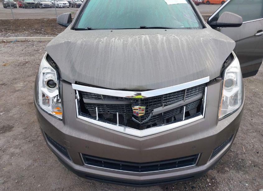 Photo 6 of 2011 Cadillac Srx LUXURY COLLECTION (VIN 3GYFNAEY5BS566645)