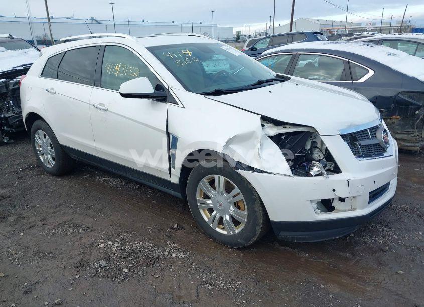 2011 Cadillac Srx LUXURY COLLECTION (VIN 3GYFNAEY5BS630280) main photo