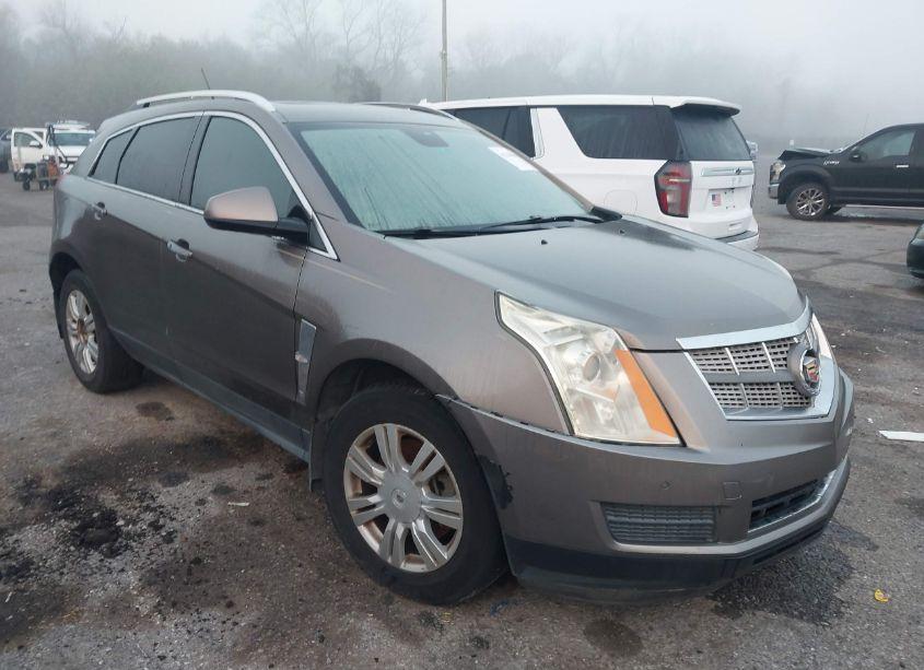 2011 Cadillac Srx LUXURY COLLECTION (VIN 3GYFNAEY5BS649136) main photo