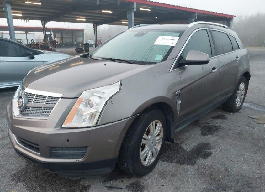 Photo 2 of 2011 Cadillac Srx LUXURY COLLECTION (VIN 3GYFNAEY5BS649136)