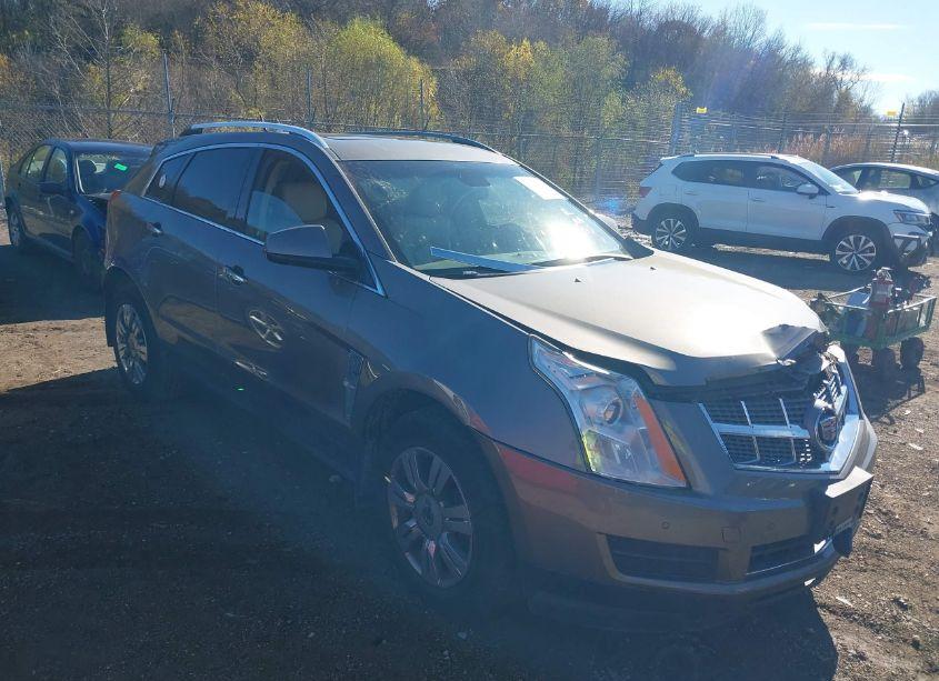 2011 Cadillac Srx LUXURY COLLECTION (VIN 3GYFNAEY5BS658645) main photo