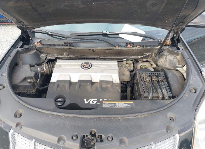 Photo 10 of 2010 Cadillac Srx LUXURY COLLECTION (VIN 3GYFNAEY6AS602583)