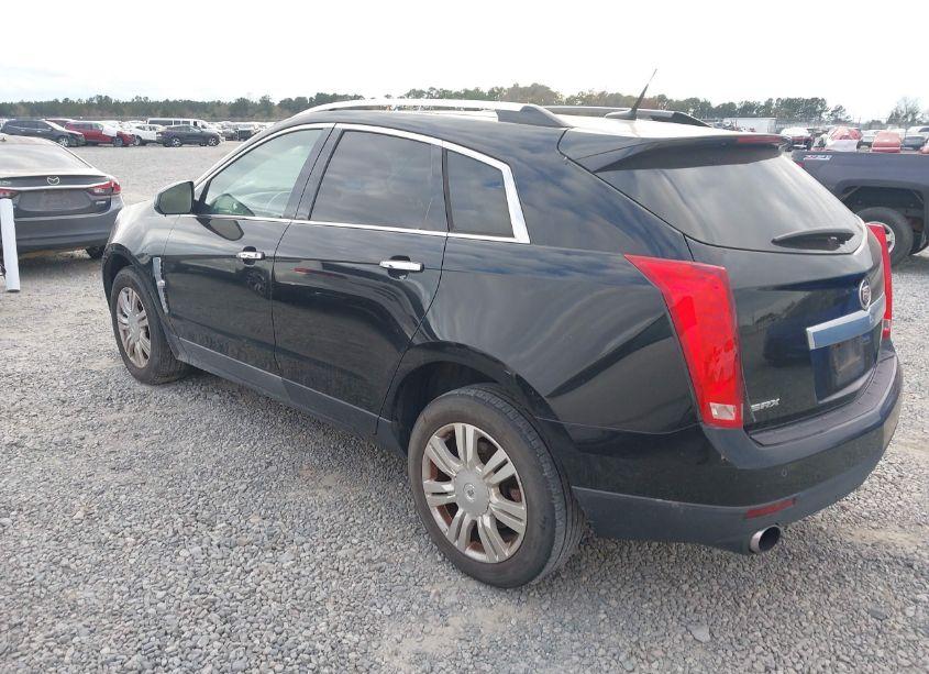 Photo 3 of 2010 Cadillac Srx LUXURY COLLECTION (VIN 3GYFNAEY6AS602583)