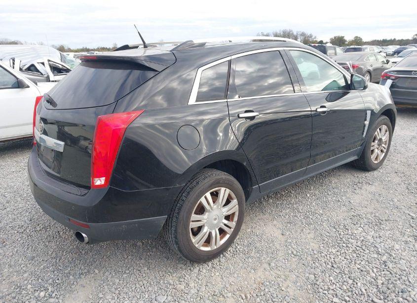 Photo 4 of 2010 Cadillac Srx LUXURY COLLECTION (VIN 3GYFNAEY6AS602583)