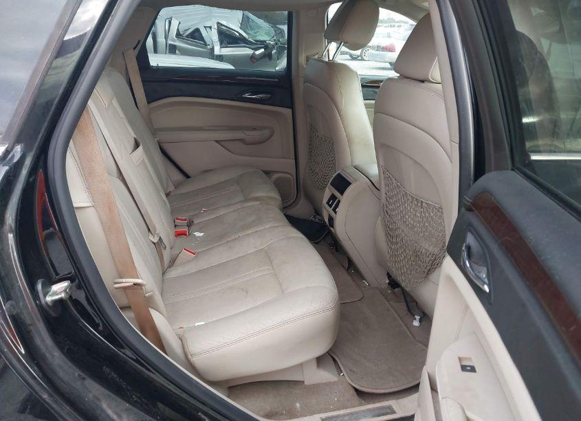 Photo 8 of 2010 Cadillac Srx LUXURY COLLECTION (VIN 3GYFNAEY6AS602583)