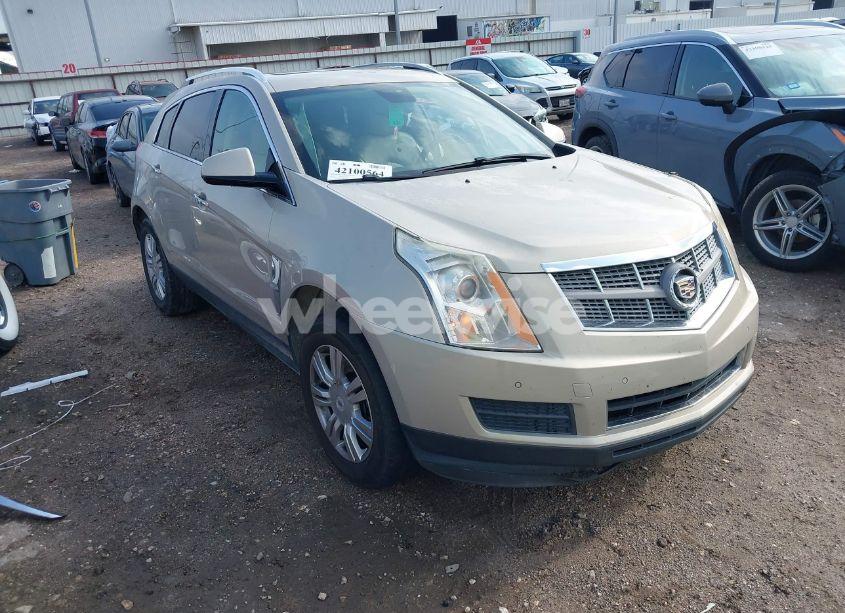 2011 Cadillac Srx LUXURY COLLECTION (VIN 3GYFNAEY6BS516644) main photo