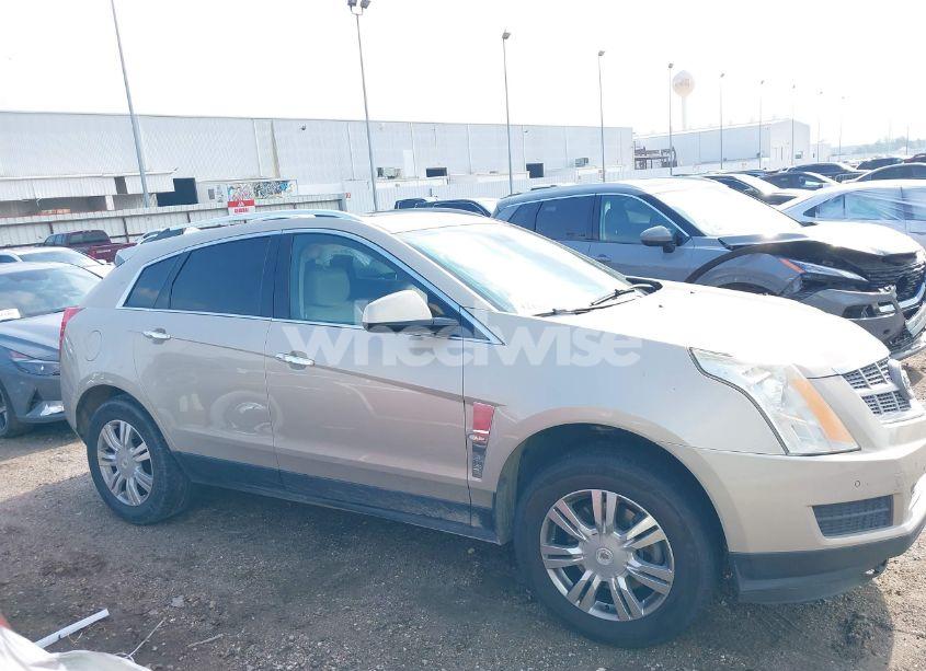 Photo 13 of 2011 Cadillac Srx LUXURY COLLECTION (VIN 3GYFNAEY6BS516644)