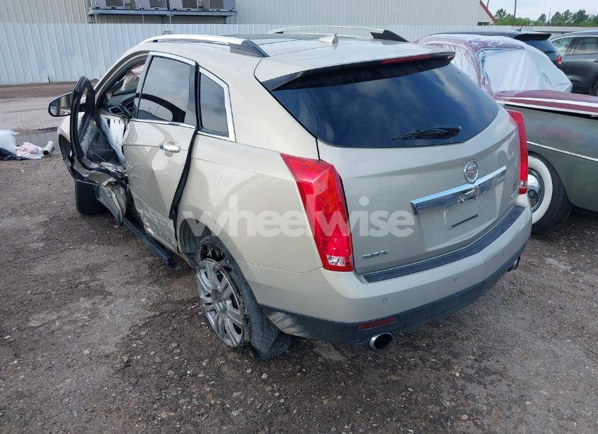 Photo 3 of 2011 Cadillac Srx LUXURY COLLECTION (VIN 3GYFNAEY6BS516644)