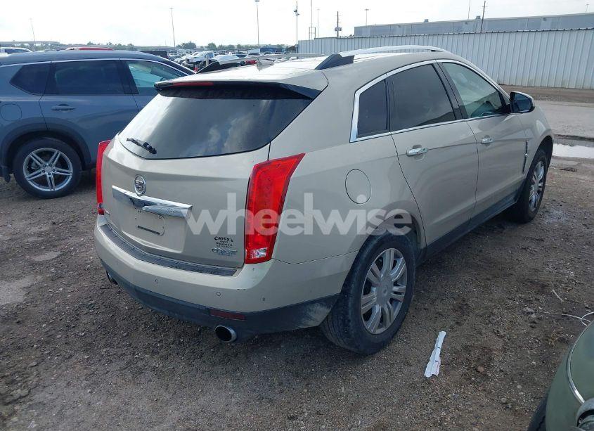 Photo 4 of 2011 Cadillac Srx LUXURY COLLECTION (VIN 3GYFNAEY6BS516644)