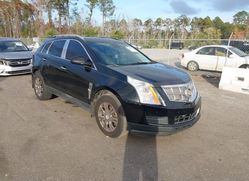 2011 Cadillac Srx LUXURY COLLECTION (VIN 3GYFNAEY6BS584359) main photo