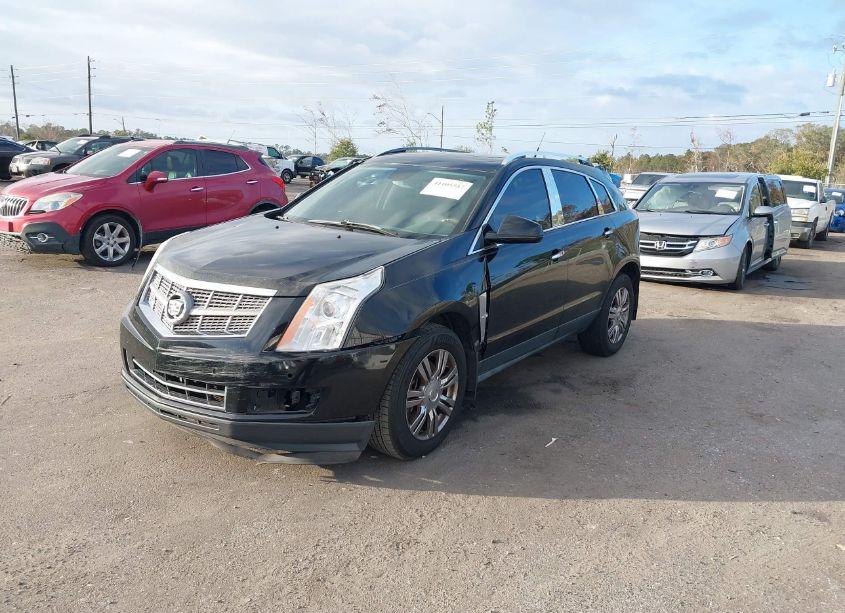 Photo 2 of 2011 Cadillac Srx LUXURY COLLECTION (VIN 3GYFNAEY6BS584359)
