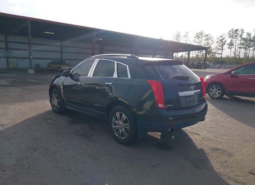 Photo 3 of 2011 Cadillac Srx LUXURY COLLECTION (VIN 3GYFNAEY6BS584359)