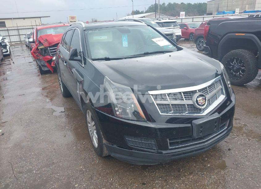 2011 Cadillac Srx LUXURY COLLECTION (VIN 3GYFNAEY6BS624696) main photo