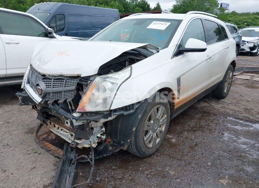 Photo 2 of 2011 Cadillac Srx LUXURY COLLECTION (VIN 3GYFNAEY6BS639893)