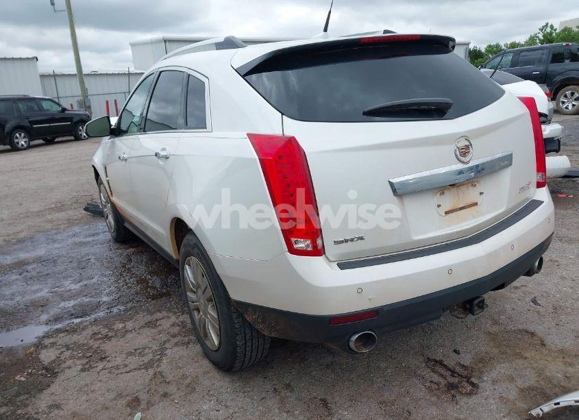 Photo 3 of 2011 Cadillac Srx LUXURY COLLECTION (VIN 3GYFNAEY6BS639893)