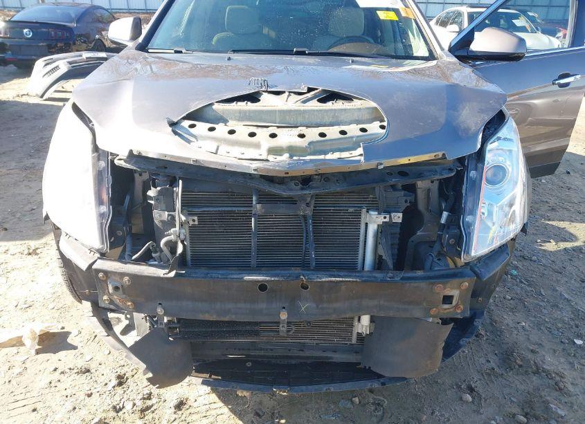 Photo 6 of 2011 Cadillac Srx LUXURY COLLECTION (VIN 3GYFNAEY6BS663756)