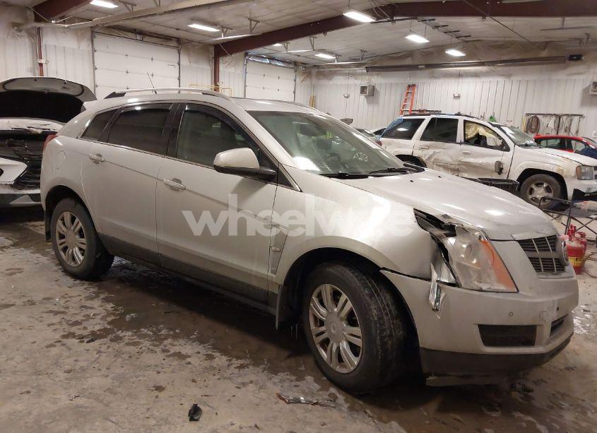 2011 Cadillac Srx LUXURY COLLECTION (VIN 3GYFNAEY6BS676670) main photo