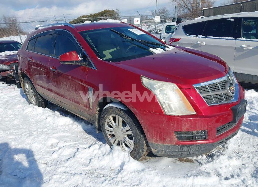 2011 Cadillac Srx LUXURY COLLECTION (VIN 3GYFNAEY7BS518144) main photo