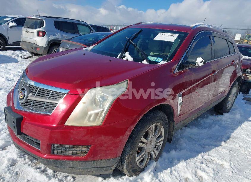 Photo 2 of 2011 Cadillac Srx LUXURY COLLECTION (VIN 3GYFNAEY7BS518144)