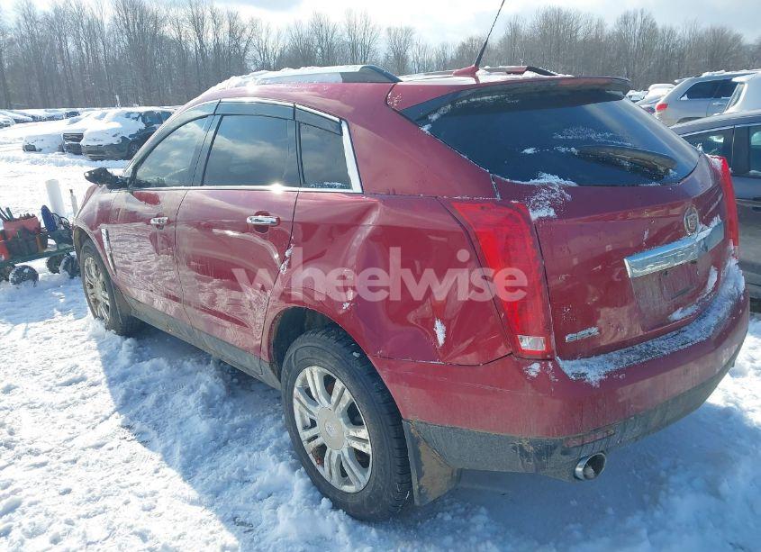 Photo 3 of 2011 Cadillac Srx LUXURY COLLECTION (VIN 3GYFNAEY7BS518144)