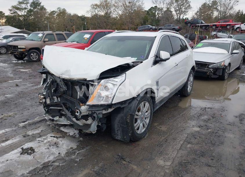 Photo 2 of 2011 Cadillac Srx LUXURY COLLECTION (VIN 3GYFNAEY7BS545389)