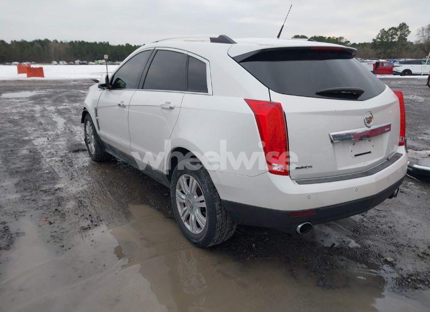 Photo 3 of 2011 Cadillac Srx LUXURY COLLECTION (VIN 3GYFNAEY7BS545389)