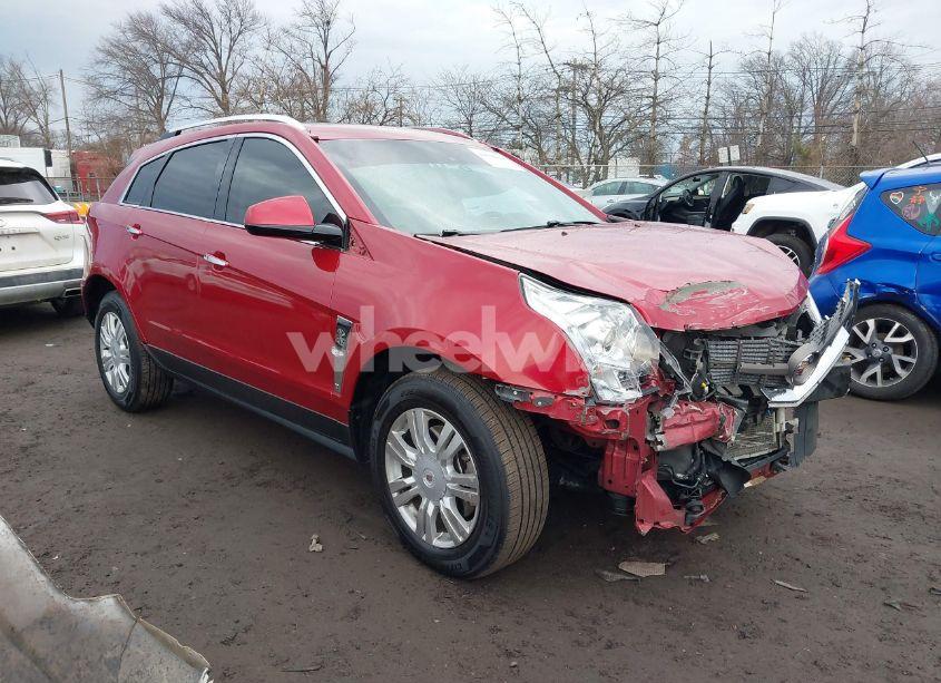 2011 Cadillac Srx LUXURY COLLECTION (VIN 3GYFNAEY7BS561303) main photo