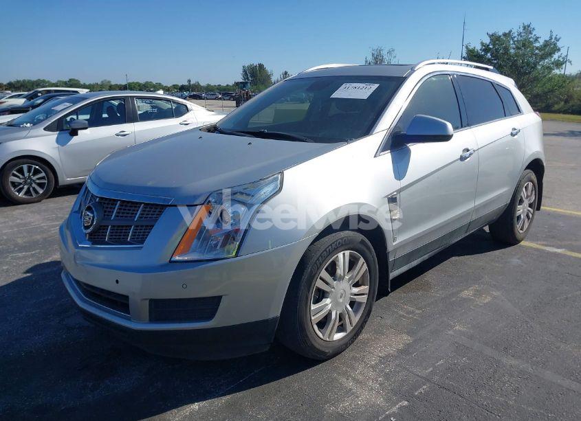 Photo 2 of 2011 Cadillac Srx LUXURY COLLECTION (VIN 3GYFNAEY7BS572303)