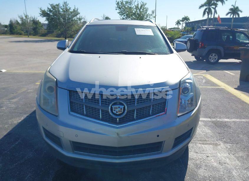 Photo 6 of 2011 Cadillac Srx LUXURY COLLECTION (VIN 3GYFNAEY7BS572303)