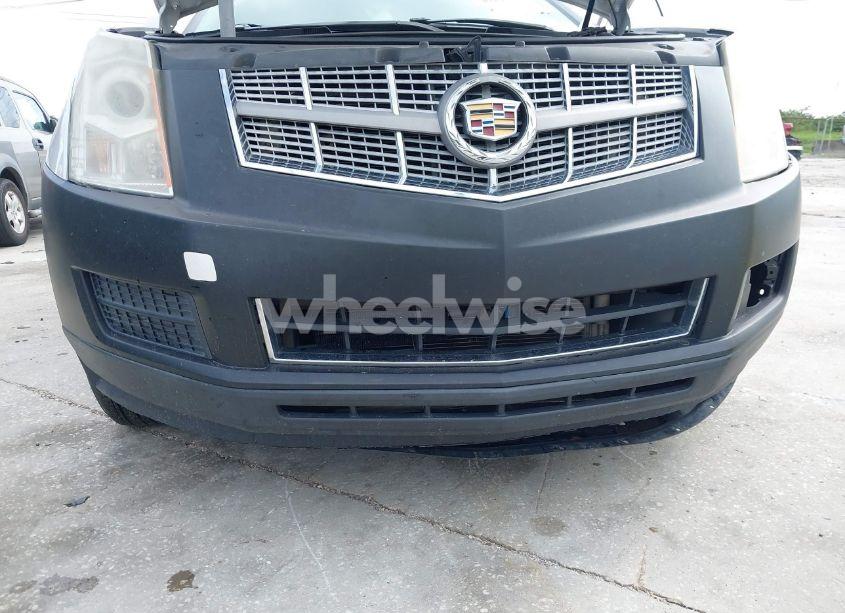 Photo 13 of 2011 Cadillac Srx LUXURY COLLECTION (VIN 3GYFNAEY7BS584662)