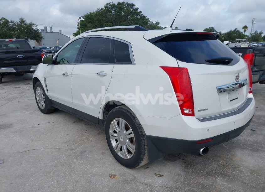 Photo 3 of 2011 Cadillac Srx LUXURY COLLECTION (VIN 3GYFNAEY7BS584662)