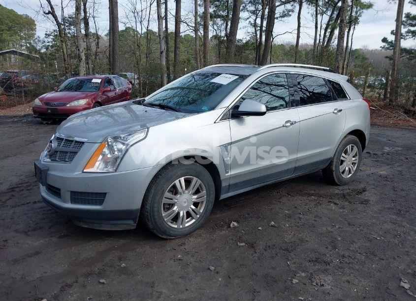 Photo 2 of 2011 Cadillac Srx LUXURY COLLECTION (VIN 3GYFNAEY7BS609916)