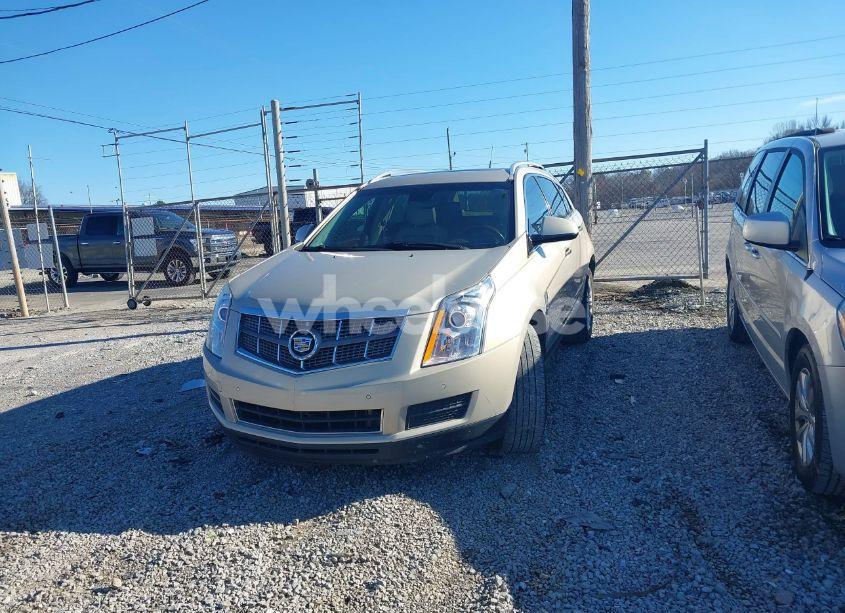 Photo 12 of 2011 Cadillac Srx LUXURY COLLECTION (VIN 3GYFNAEY8BS607480)