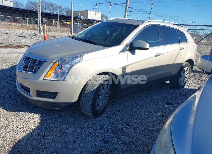 Photo 2 of 2011 Cadillac Srx LUXURY COLLECTION (VIN 3GYFNAEY8BS607480)