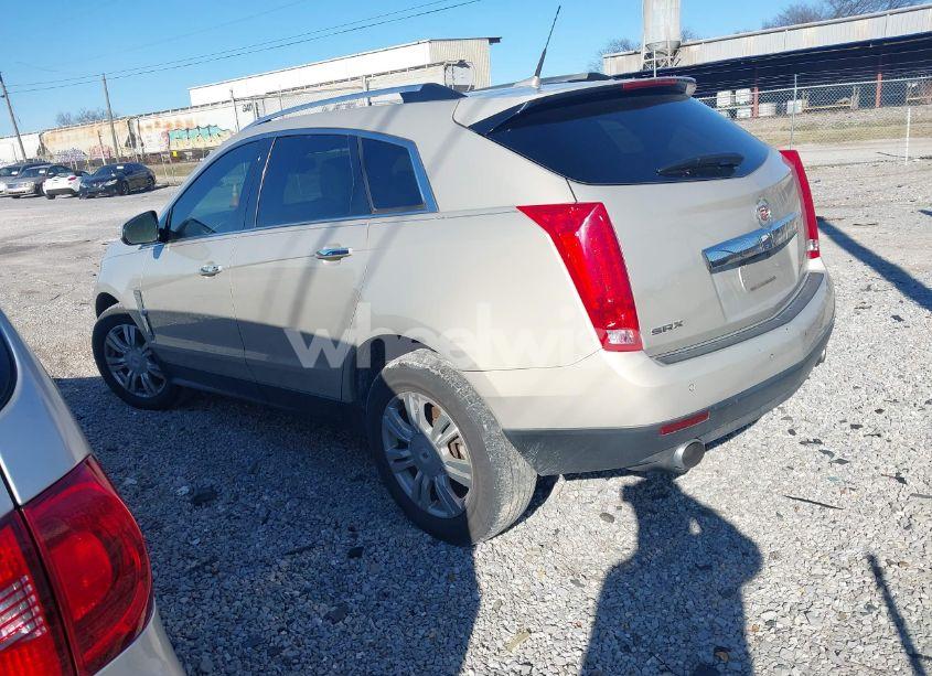 Photo 3 of 2011 Cadillac Srx LUXURY COLLECTION (VIN 3GYFNAEY8BS607480)