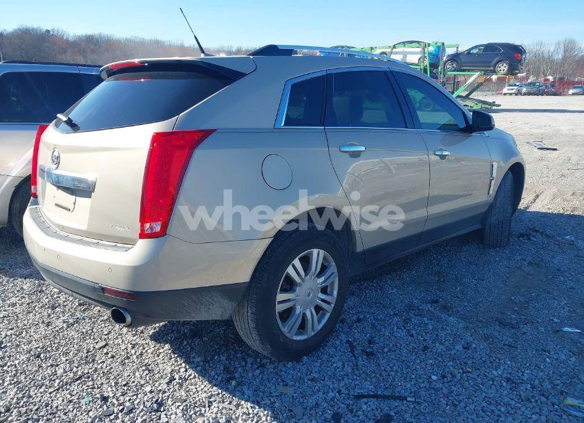 Photo 4 of 2011 Cadillac Srx LUXURY COLLECTION (VIN 3GYFNAEY8BS607480)